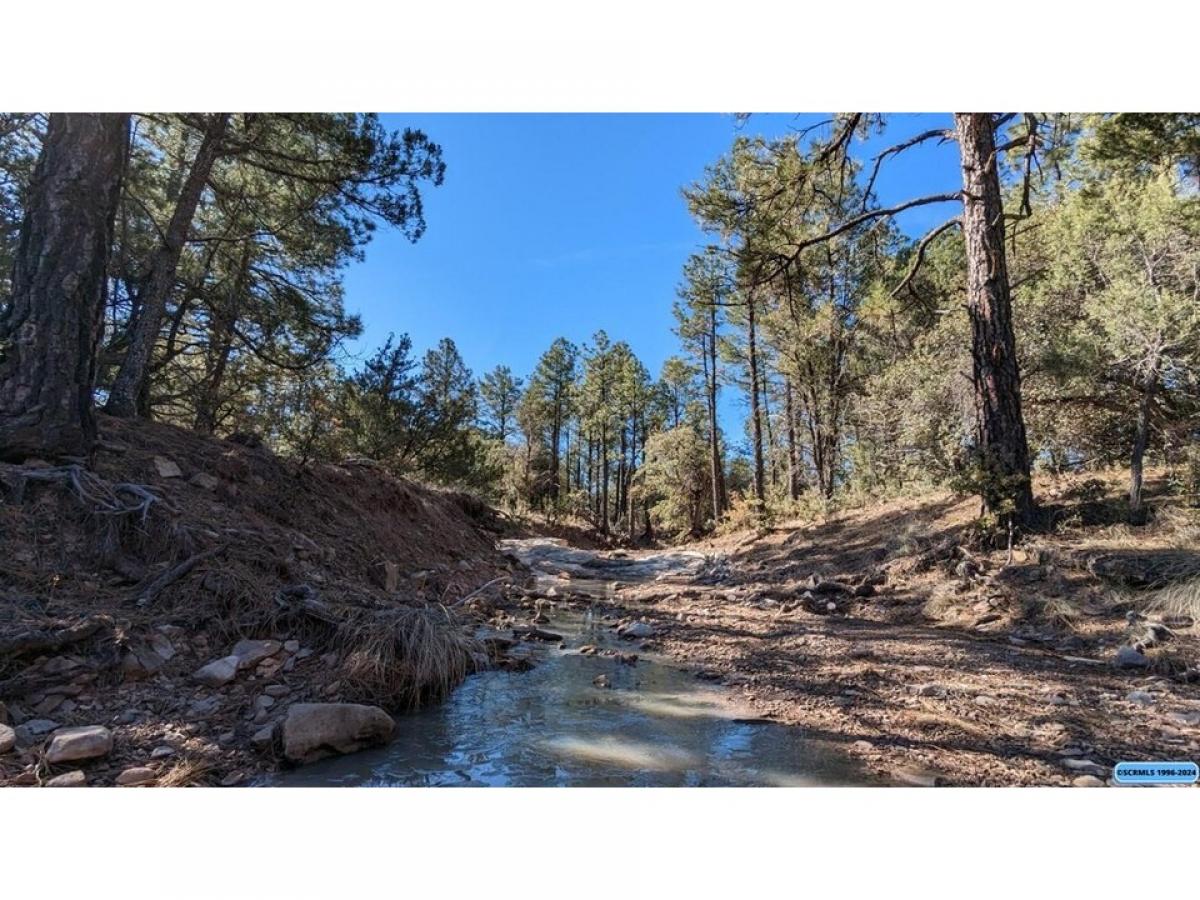 Picture of Residential Land For Sale in Silver City, New Mexico, United States