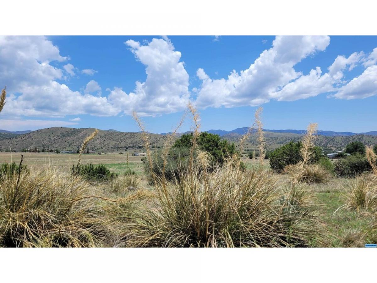 Picture of Residential Land For Sale in Mimbres, New Mexico, United States