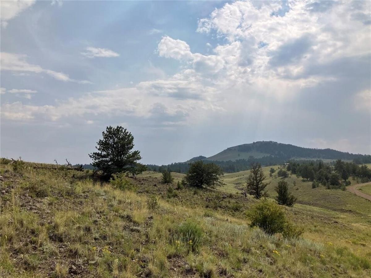 Picture of Residential Land For Sale in Hartsel, Colorado, United States