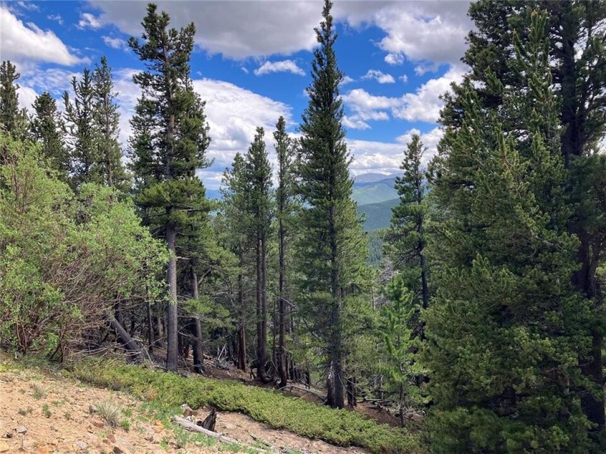 Picture of Residential Land For Sale in Idaho Springs, Colorado, United States