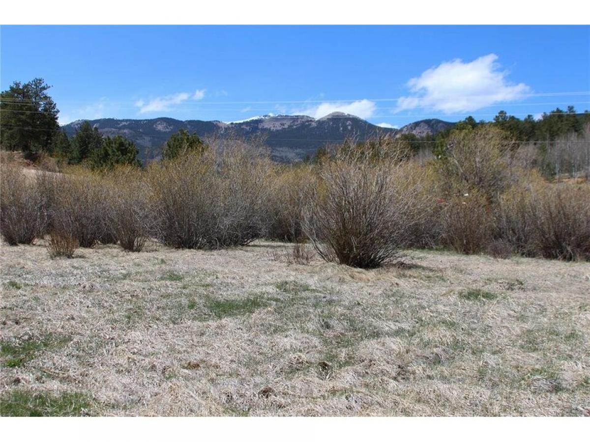 Picture of Residential Land For Sale in Bailey, Colorado, United States