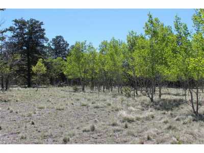 Residential Land For Sale in Como, Colorado