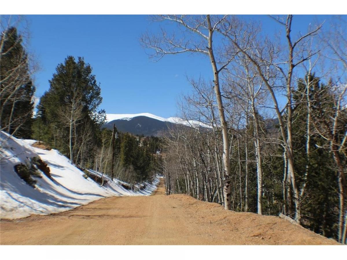 Picture of Residential Land For Sale in Bailey, Colorado, United States