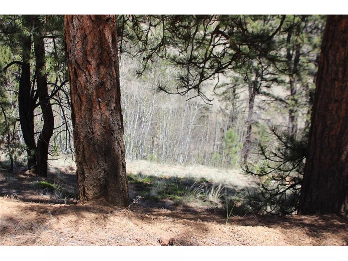 Picture of Residential Land For Sale in Bailey, Colorado, United States