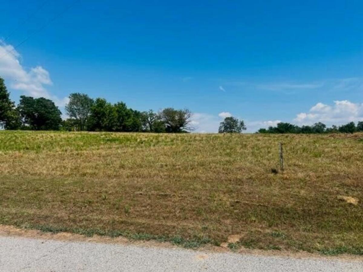 Picture of Residential Land For Sale in Wyandotte, Oklahoma, United States