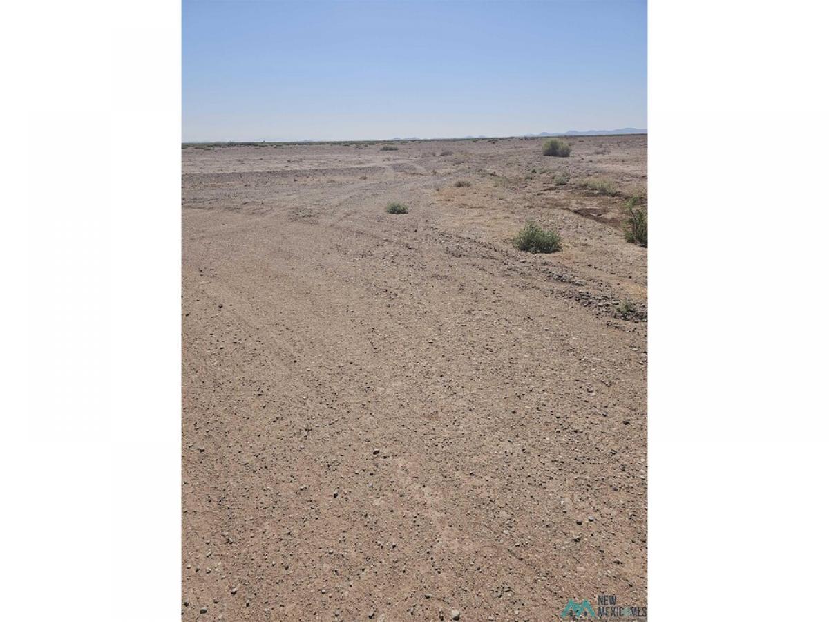 Picture of Residential Land For Sale in Deming, New Mexico, United States