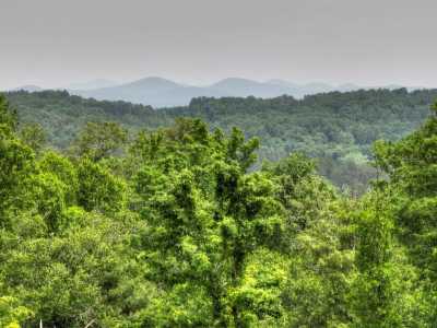 Residential Land For Sale in Blue Ridge, Georgia