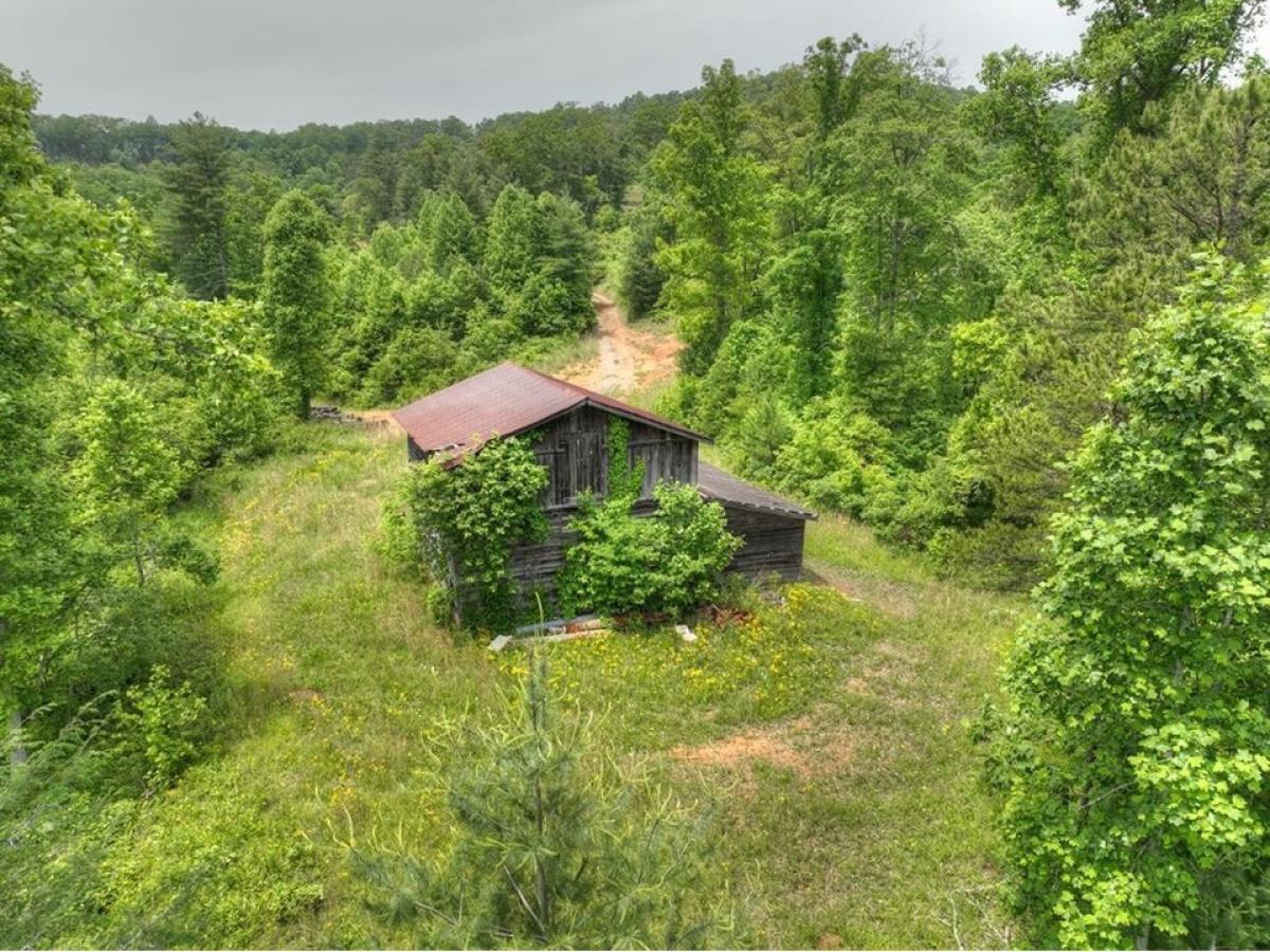 Picture of Residential Land For Sale in Blue Ridge, Georgia, United States