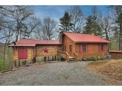 Home For Sale in Cherry Log, Georgia