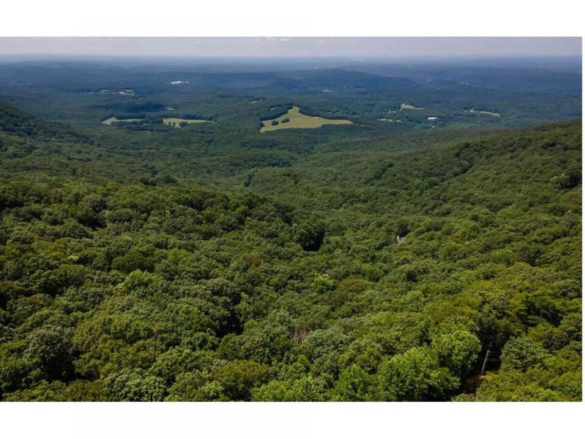 Picture of Residential Land For Sale in Jasper, Georgia, United States