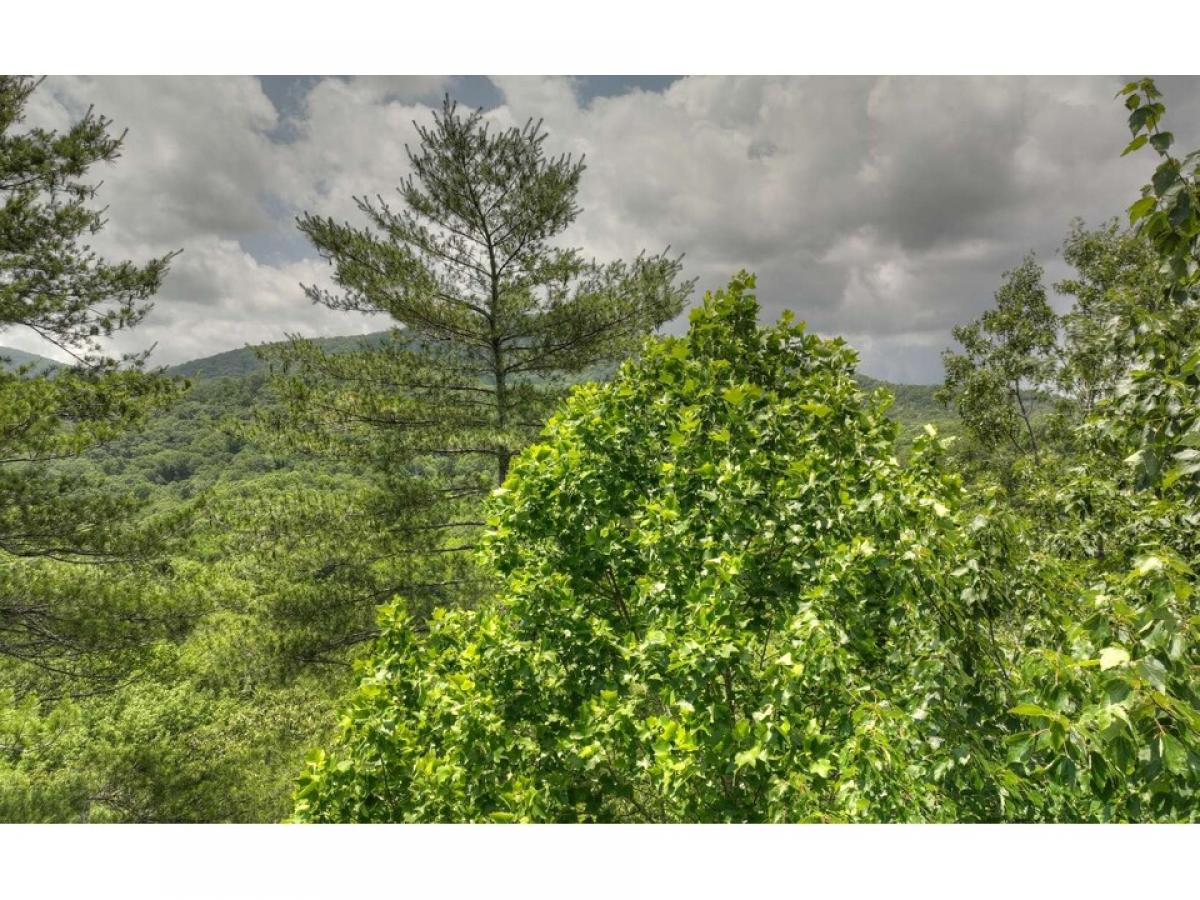 Picture of Residential Land For Sale in Blue Ridge, Georgia, United States