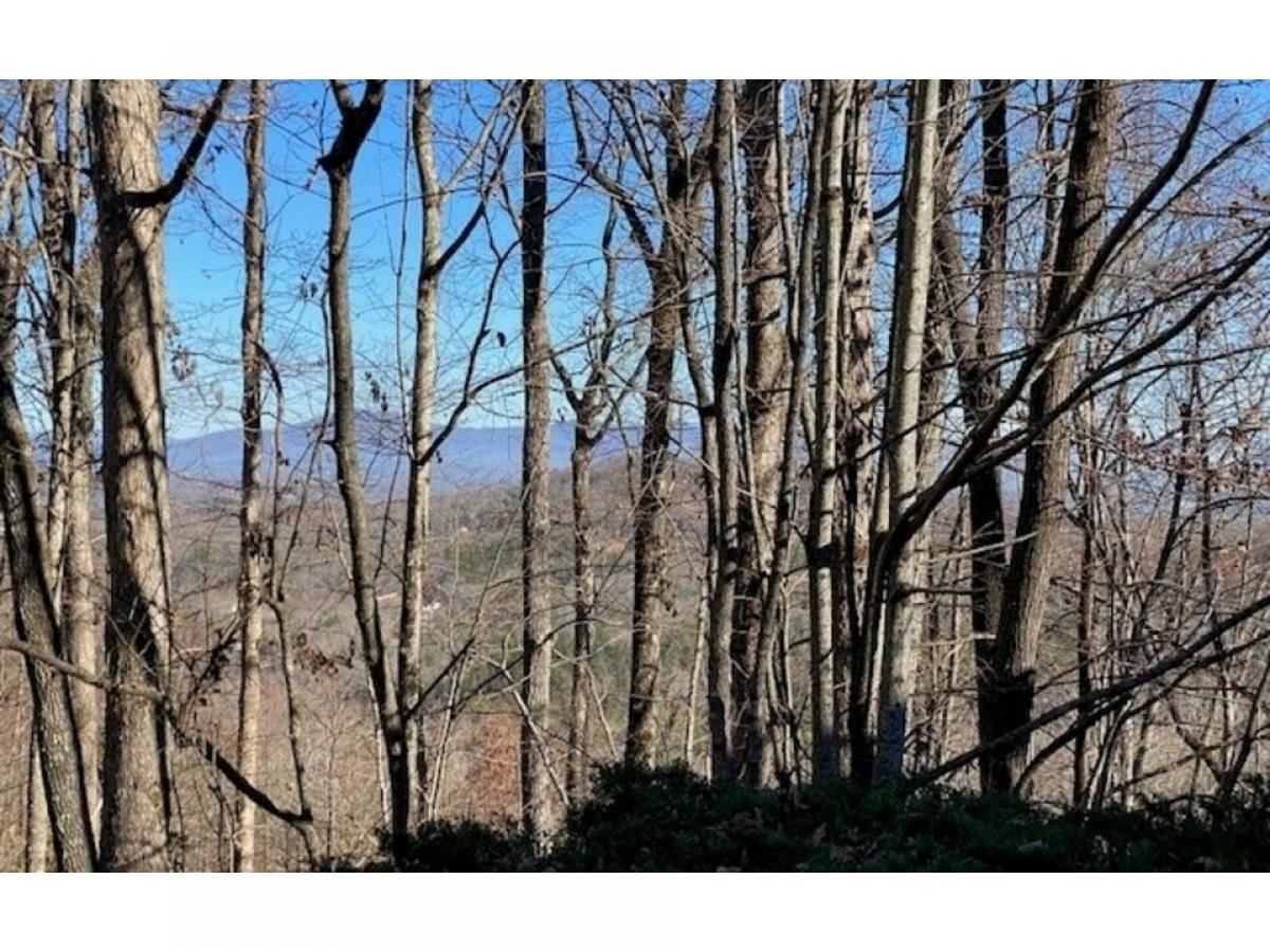 Picture of Residential Land For Sale in Blue Ridge, Georgia, United States