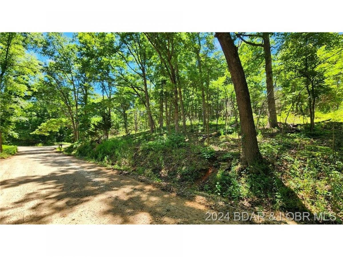 Picture of Residential Land For Sale in Sunrise Beach, Missouri, United States