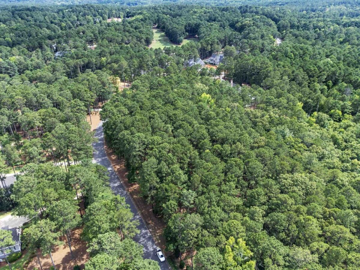 Picture of Residential Land For Sale in Greensboro, Georgia, United States