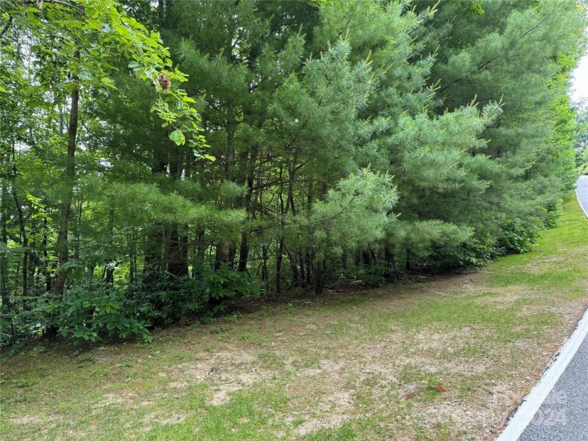 Picture of Residential Land For Sale in Flat Rock, North Carolina, United States