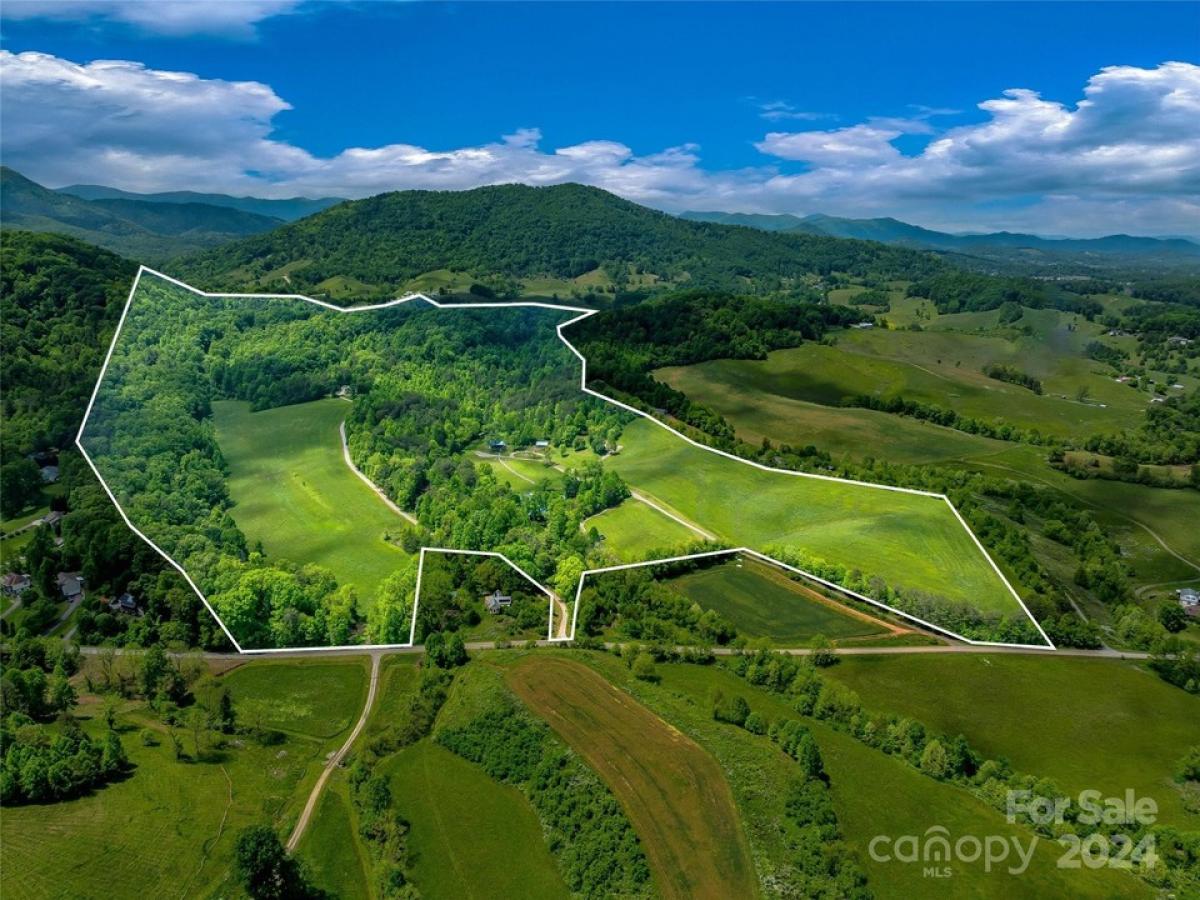 Picture of Residential Land For Sale in Leicester, North Carolina, United States