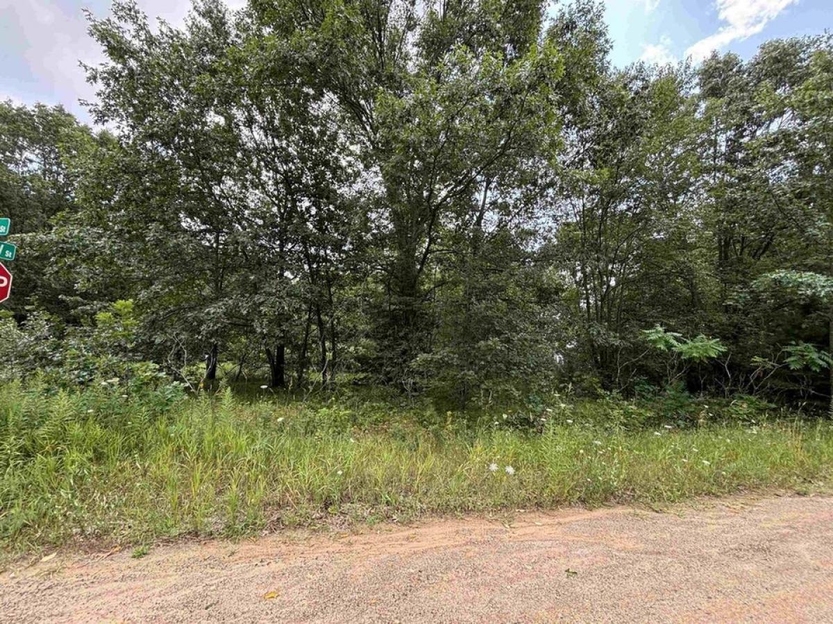 Picture of Residential Land For Sale in Lake, Michigan, United States