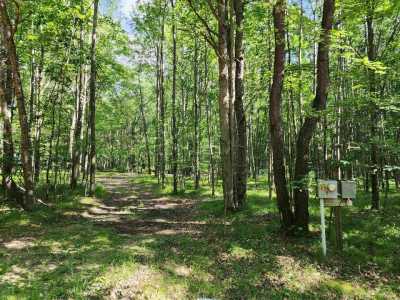 Residential Land For Sale in Farwell, Michigan