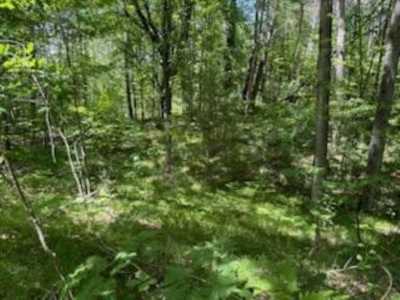 Residential Land For Sale in Lake, Michigan