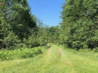 Residential Land For Sale in Lake, Michigan