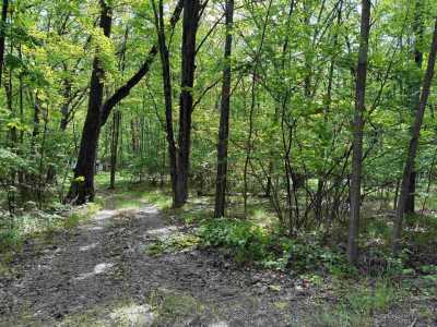 Residential Land For Sale in Farwell, Michigan