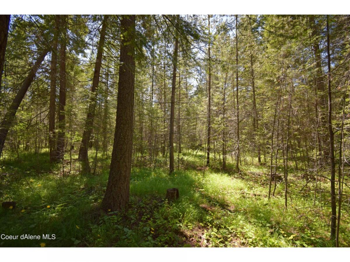 Picture of Residential Land For Sale in Bonners Ferry, Idaho, United States