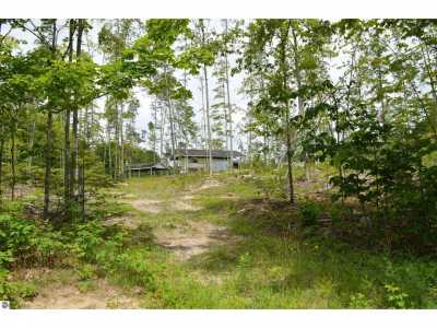 Residential Land For Sale in Elmira, Michigan