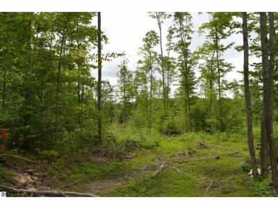 Residential Land For Sale in Elmira, Michigan