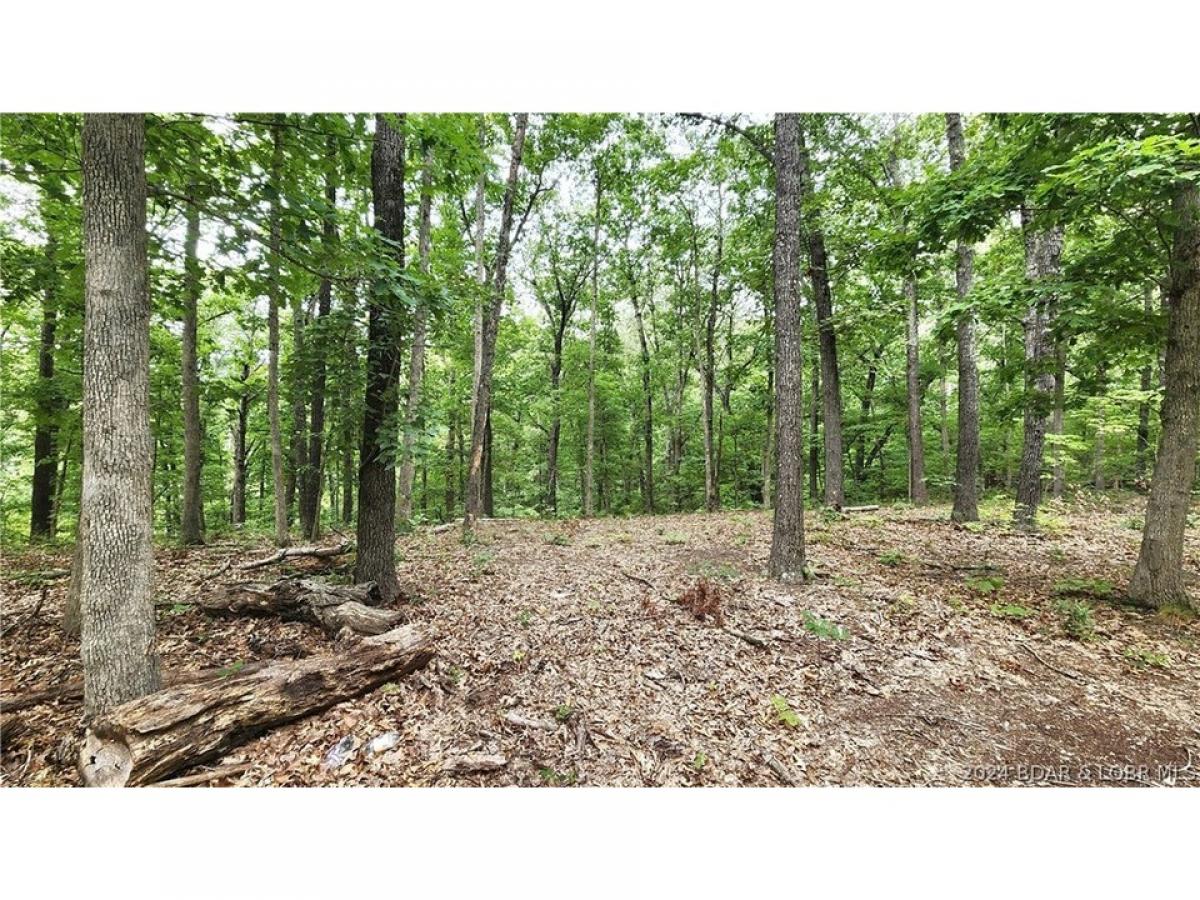 Picture of Residential Land For Sale in Stover, Missouri, United States