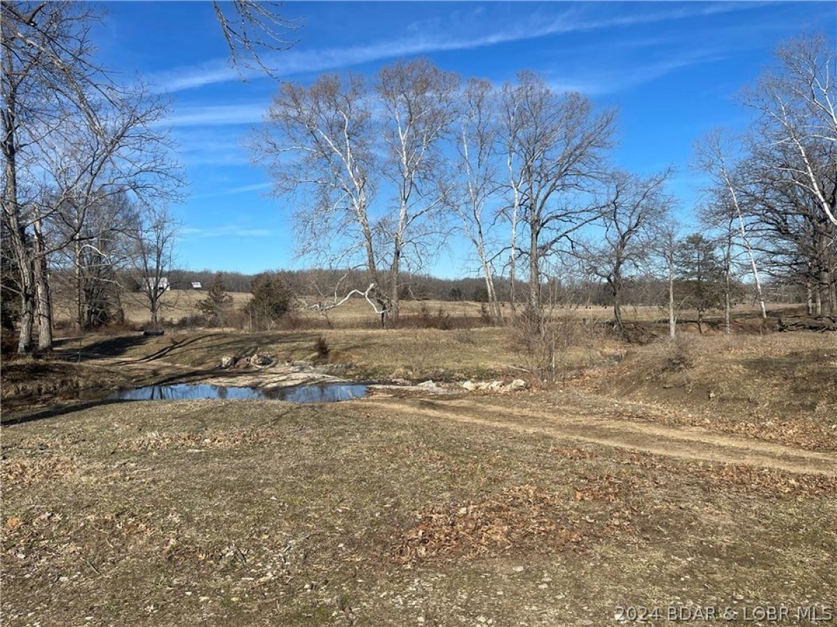 Picture of Residential Land For Sale in Preston, Missouri, United States