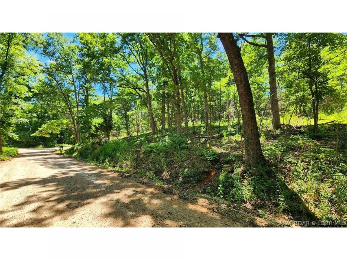 Picture of Residential Land For Sale in Sunrise Beach, Missouri, United States