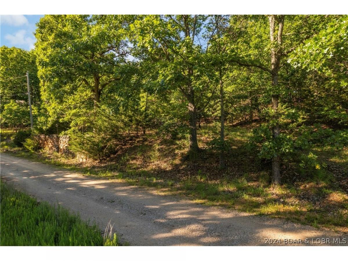 Picture of Residential Land For Sale in Linn Creek, Missouri, United States