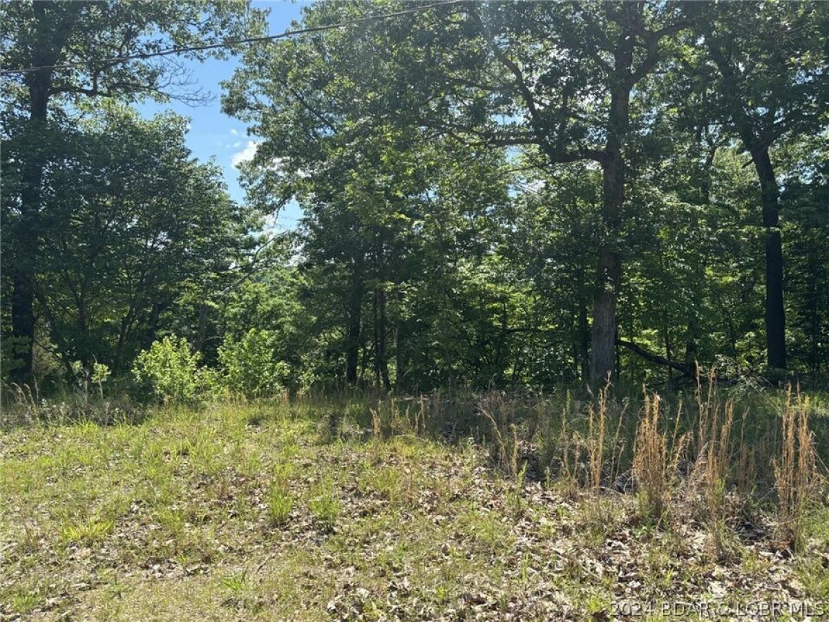 Picture of Residential Land For Sale in Gravois Mills, Missouri, United States