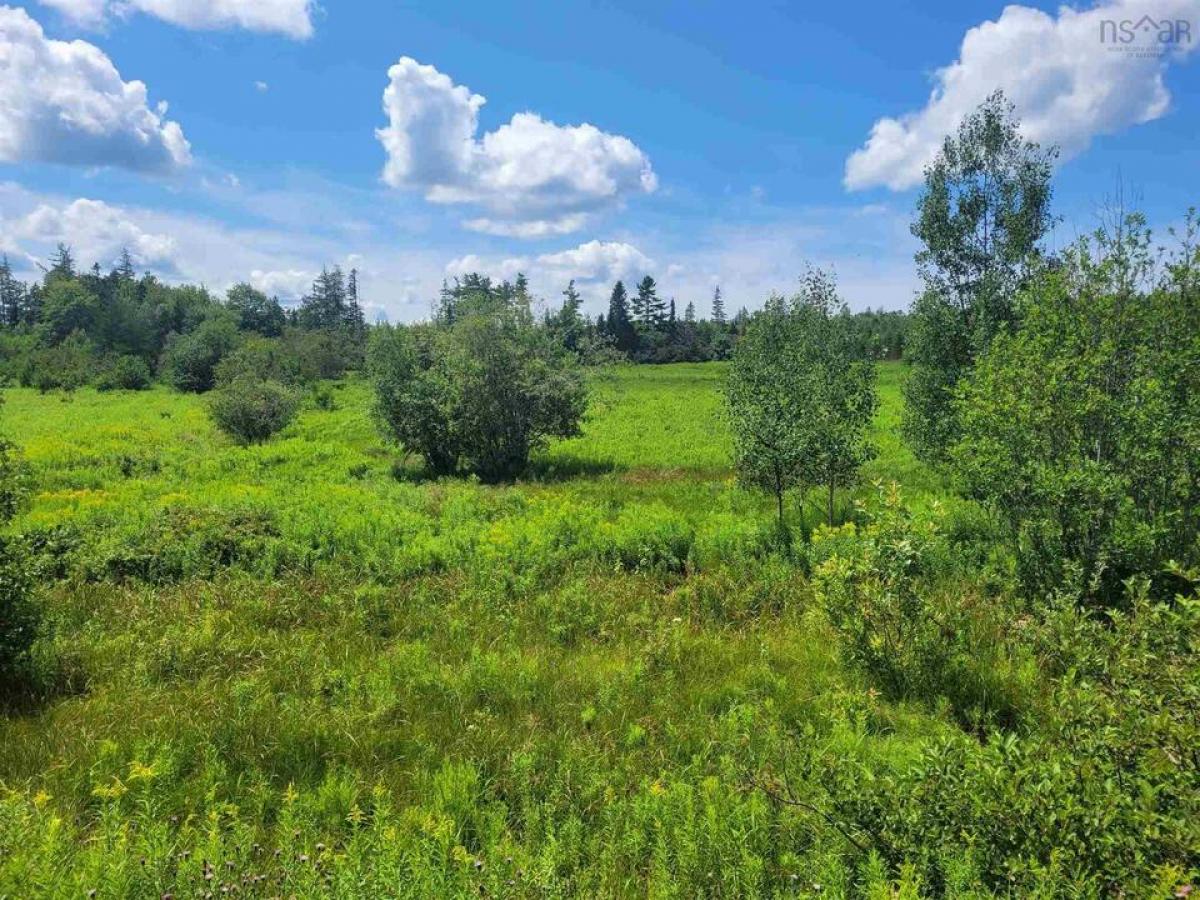 Picture of Residential Land For Sale in Gormanville, Nova Scotia, Canada