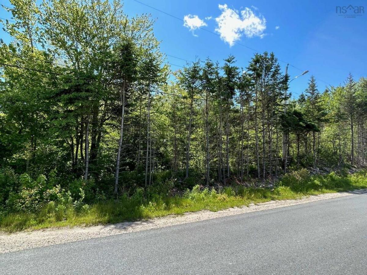 Picture of Residential Land For Sale in Chester Basin, Nova Scotia, Canada