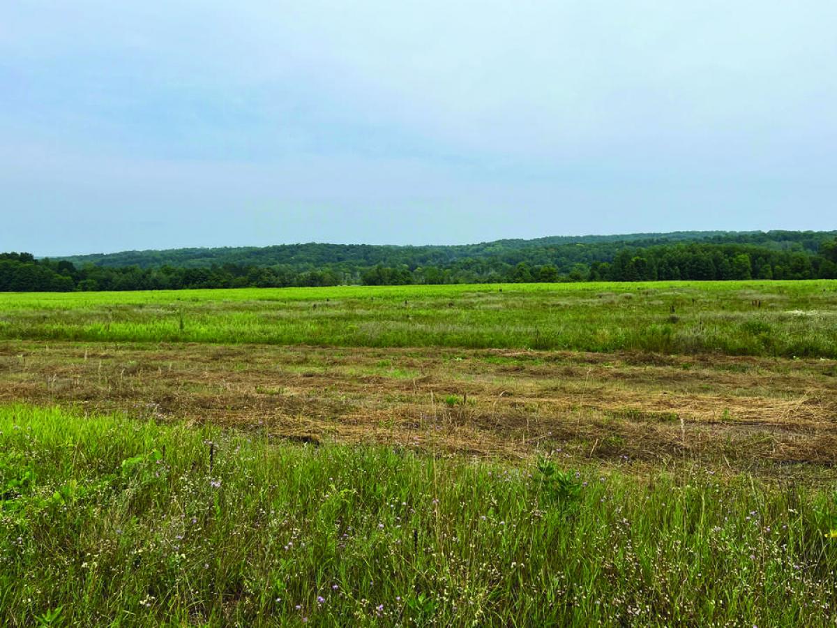 Picture of Residential Land For Sale in Central Lake, Michigan, United States