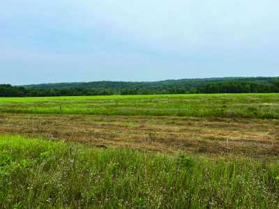 Residential Land For Sale in Central Lake, Michigan