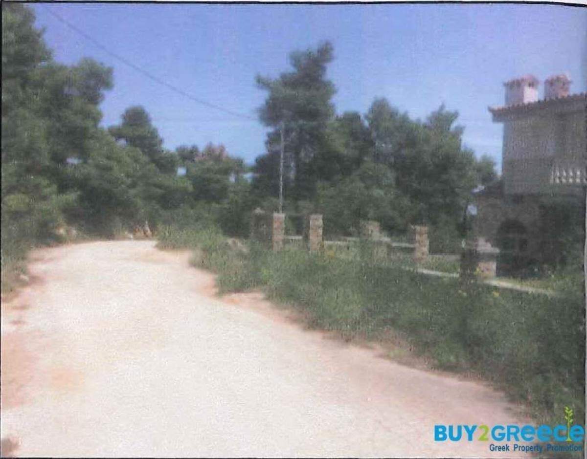 Picture of Residential Land For Sale in Afidnes, Other, Greece