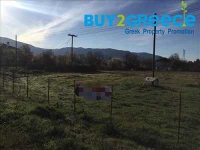 Residential Land For Sale in Kastoria Prefecture, Greece