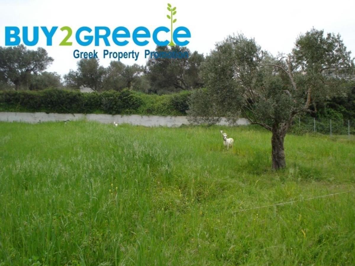 Picture of Residential Land For Sale in Kimi, Southern Region, Greece