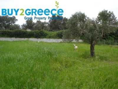 Residential Land For Sale in 