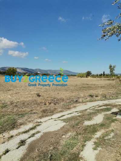 Residential Land For Sale in 