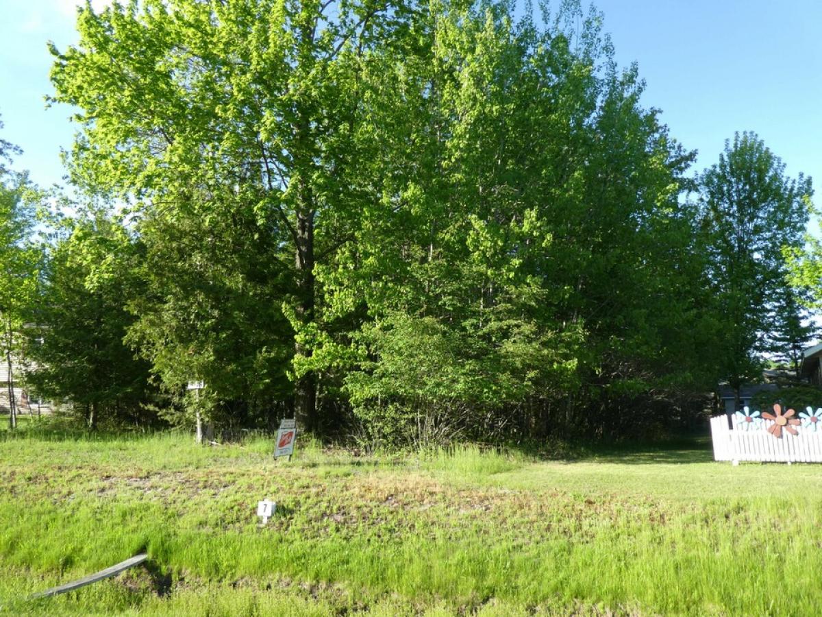 Picture of Residential Land For Sale in Alpena, Michigan, United States