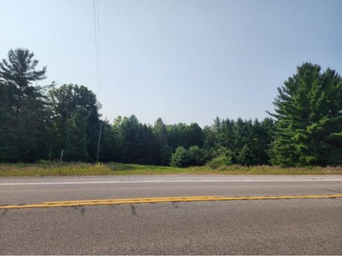 Picture of Residential Land For Sale in Hillman, Michigan, United States