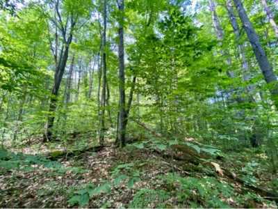 Residential Land For Sale in Gaylord, Michigan