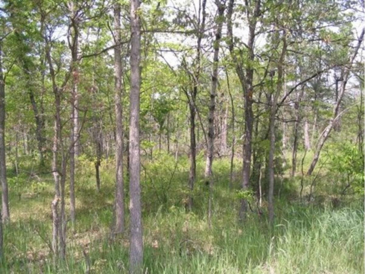 Picture of Residential Land For Sale in Roscommon, Michigan, United States