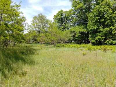 Residential Land For Sale in Atlanta, Michigan