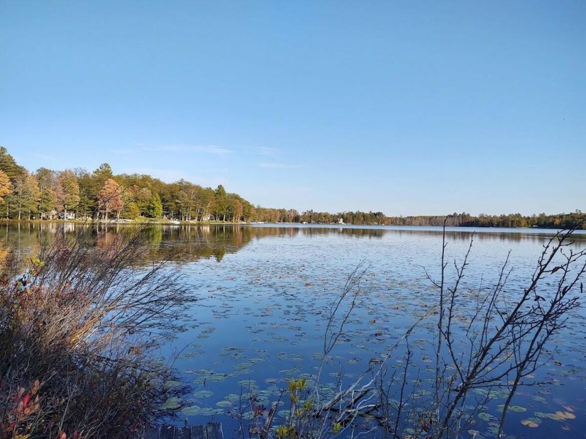 Picture of Residential Land For Sale in Hawks, Michigan, United States