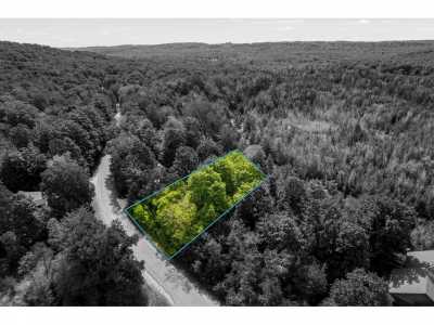 Residential Land For Sale in Bellaire, Michigan