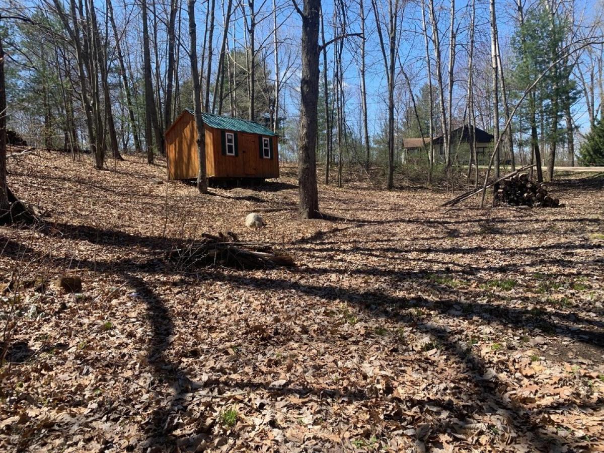 Picture of Residential Land For Sale in Farwell, Michigan, United States